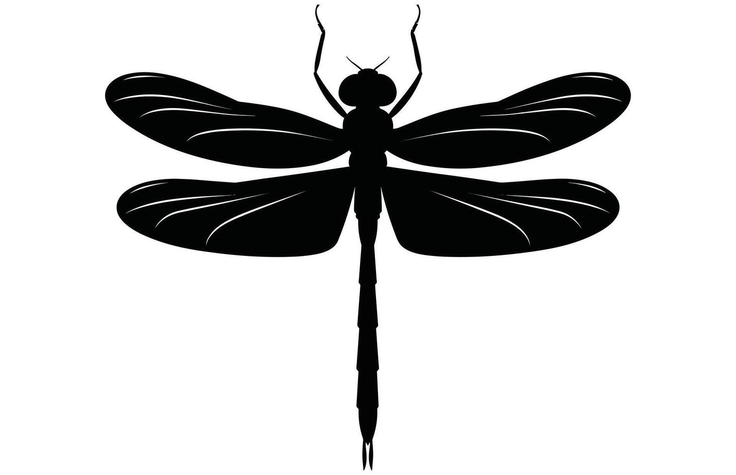 Dragonfly-Elegant Insect Stock Illustration. vector