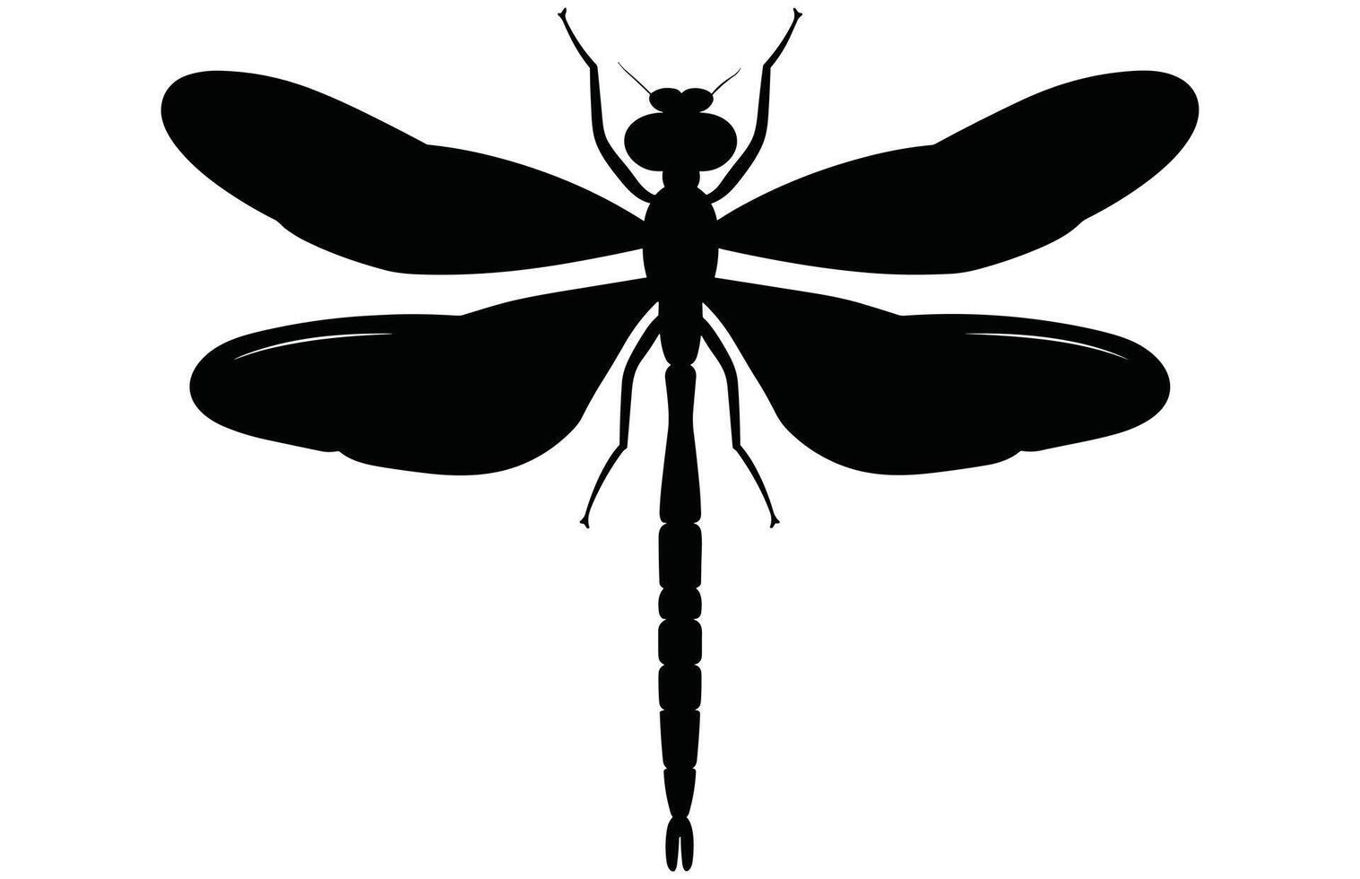 Dragonfly-Delicate Winged Insect. vector