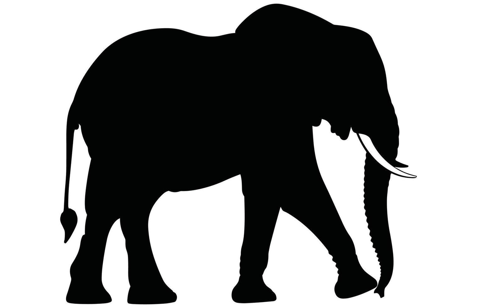 Elephant Silhouette in Black isolated on white background. vector