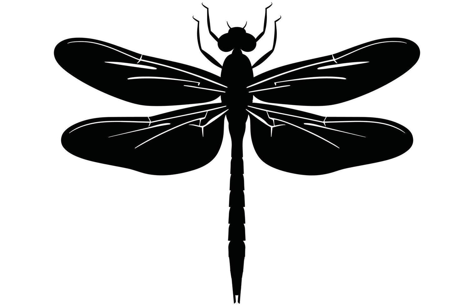 Stunning Insect Dragonfly Design for Nature Lovers. vector