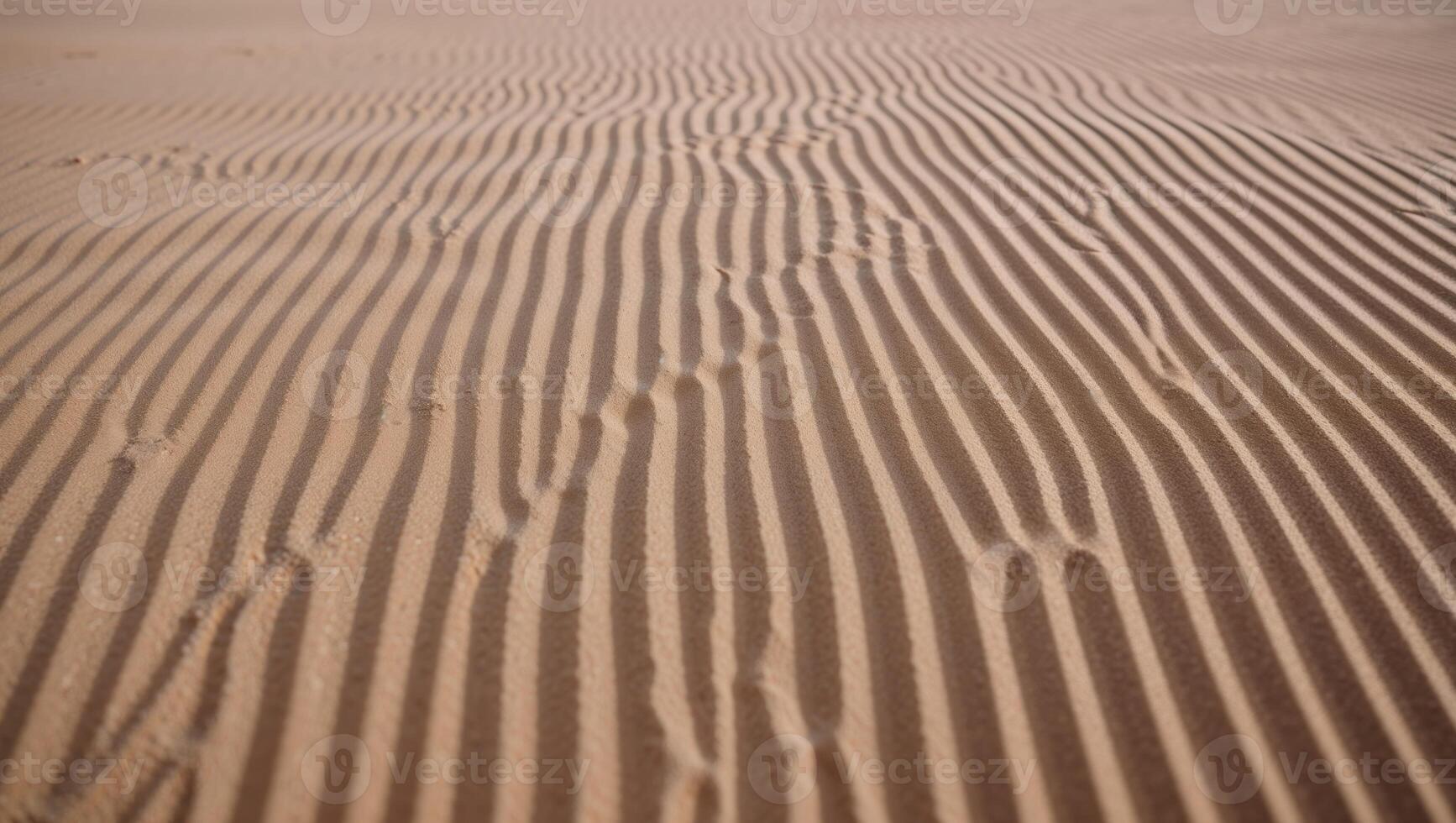 A desert with sand ripples and lines photo