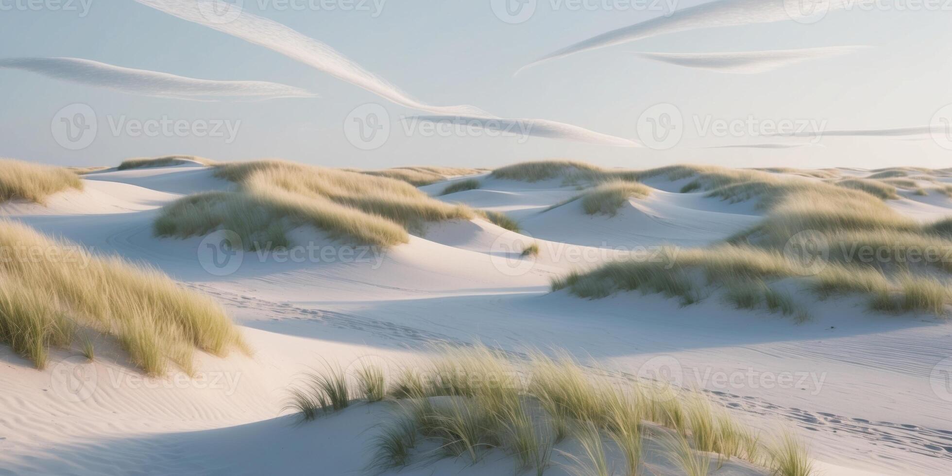A desert with grass and clouds photo