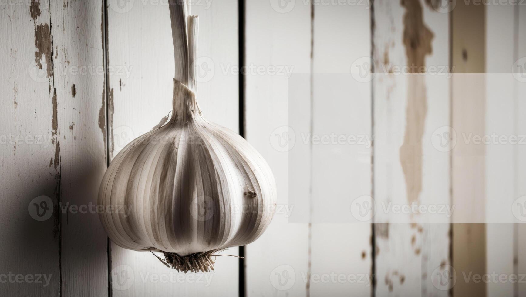 Close up monochromatic image with garlic hanging on a wall featuring ample copy space. photo