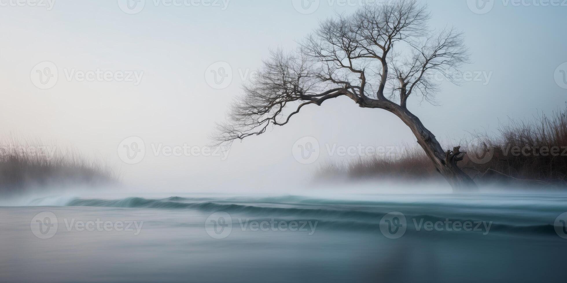 A tree is standing in the middle of a river photo