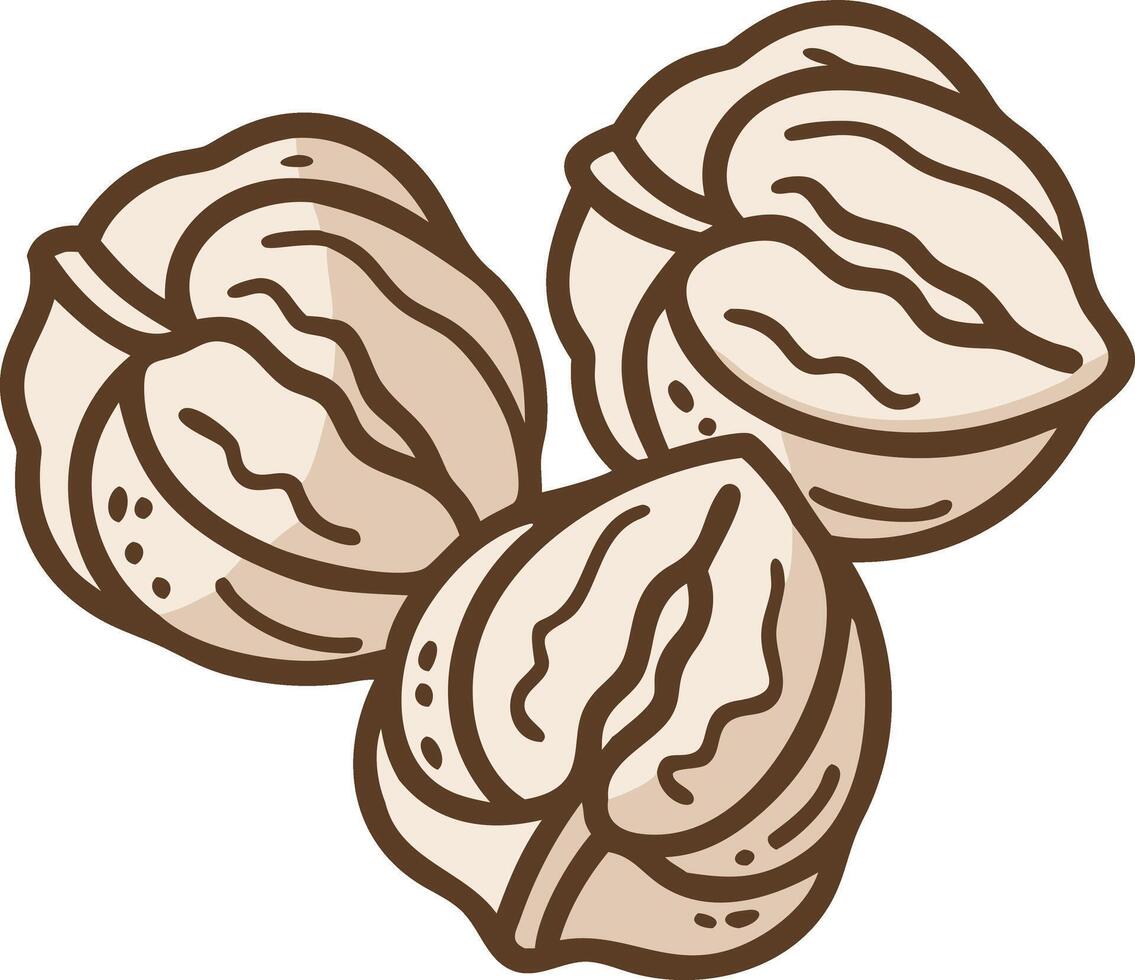 Walnuts Isolated on White Background vector