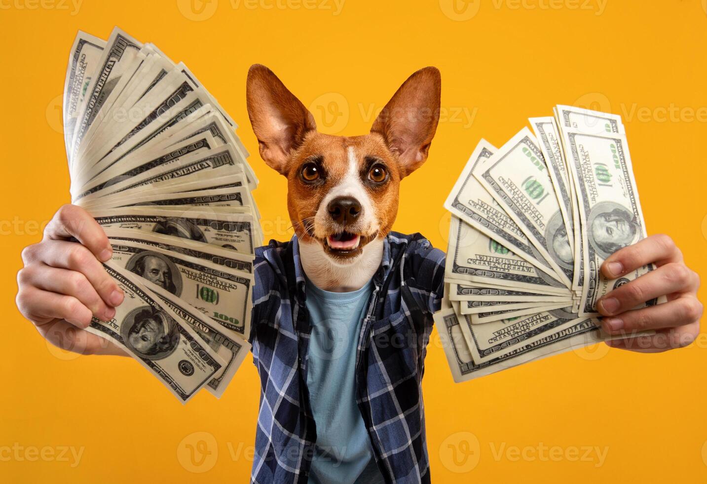 A dog with a human head and body is holding two fans of US dollar bills in its hands. The dog has a happy expression, and the background is a bright yellow color. photo