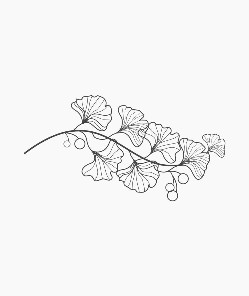 Branch of Ginko Leaves Illustration vector