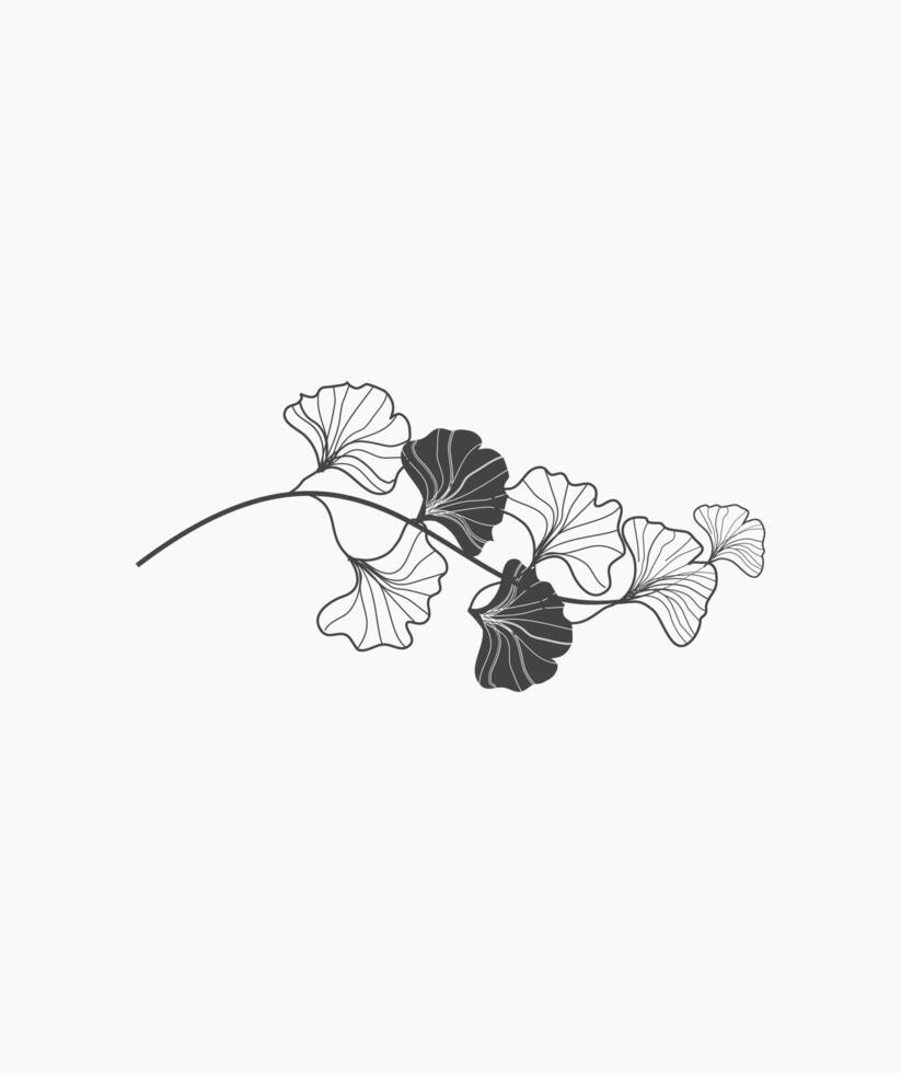 Floral Branch of Ginko Leaves Illustration vector