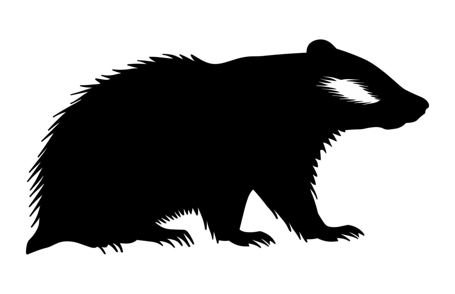 Honey Badger Silhouette isolated on a white background vector