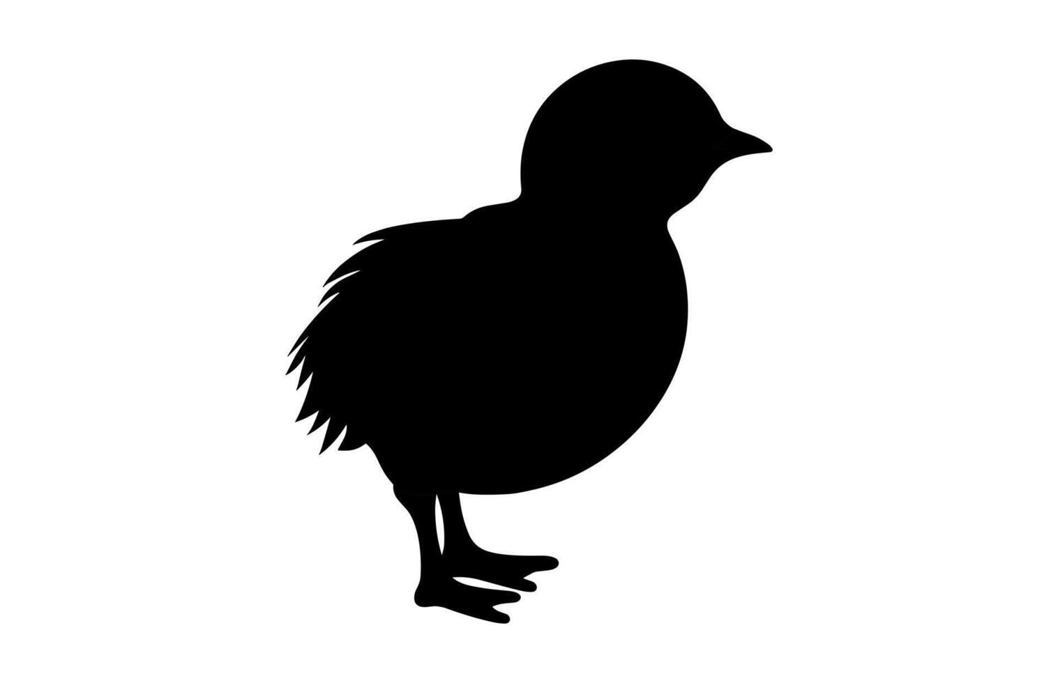 Silkie Chicken Black Clipart isolated on a white background vector