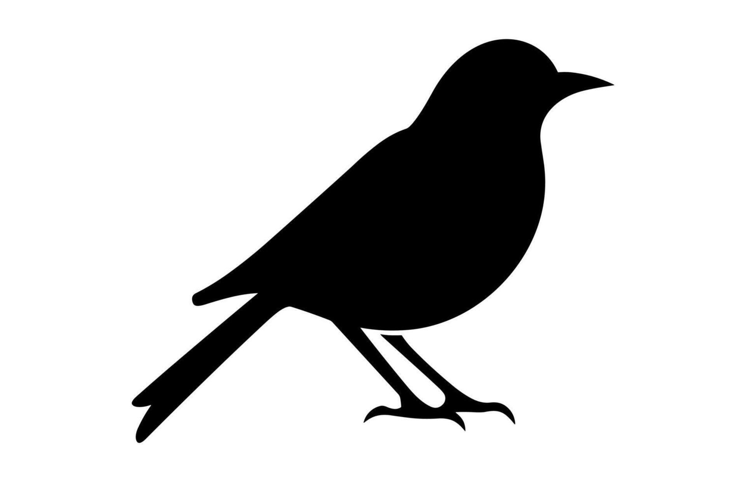 Nightingale Bird Silhouette isolated on a white background vector
