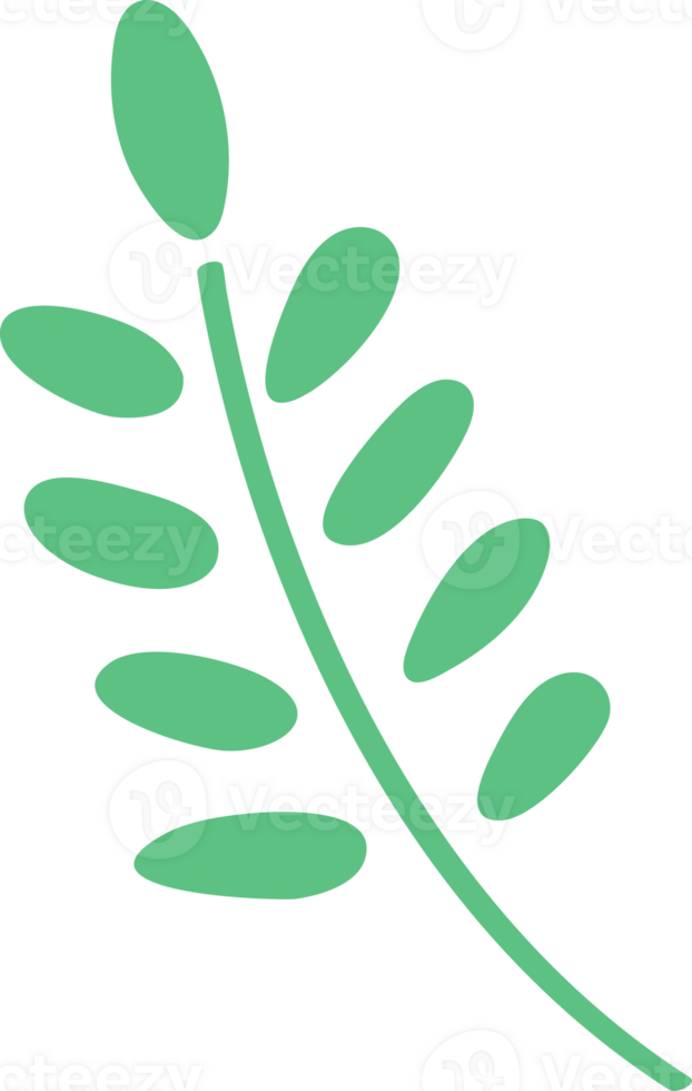 A green leaf of merry xmas png