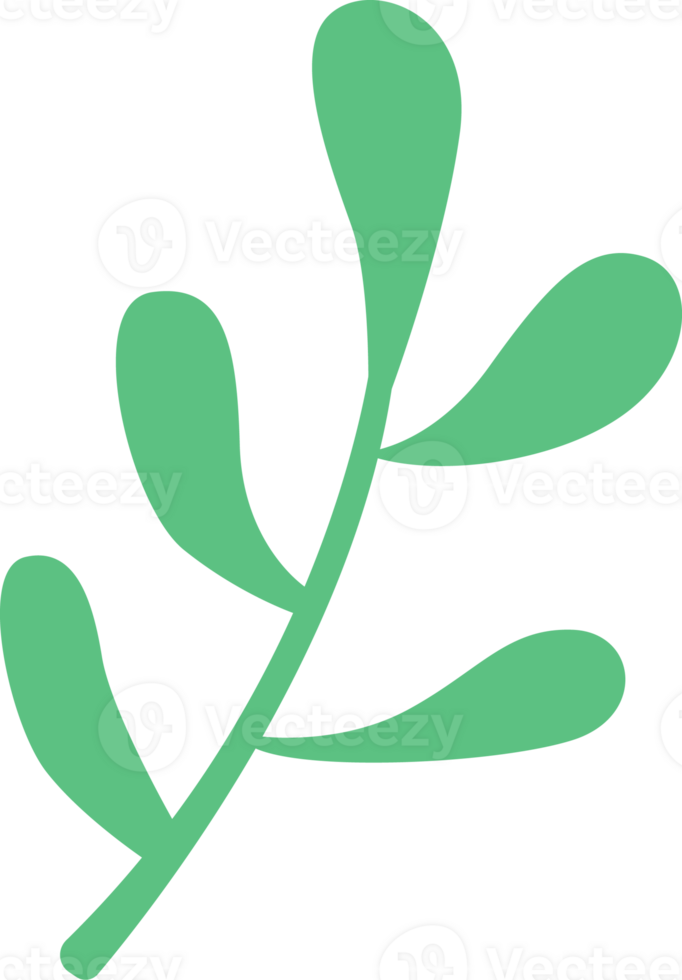A green leaf of xmas png