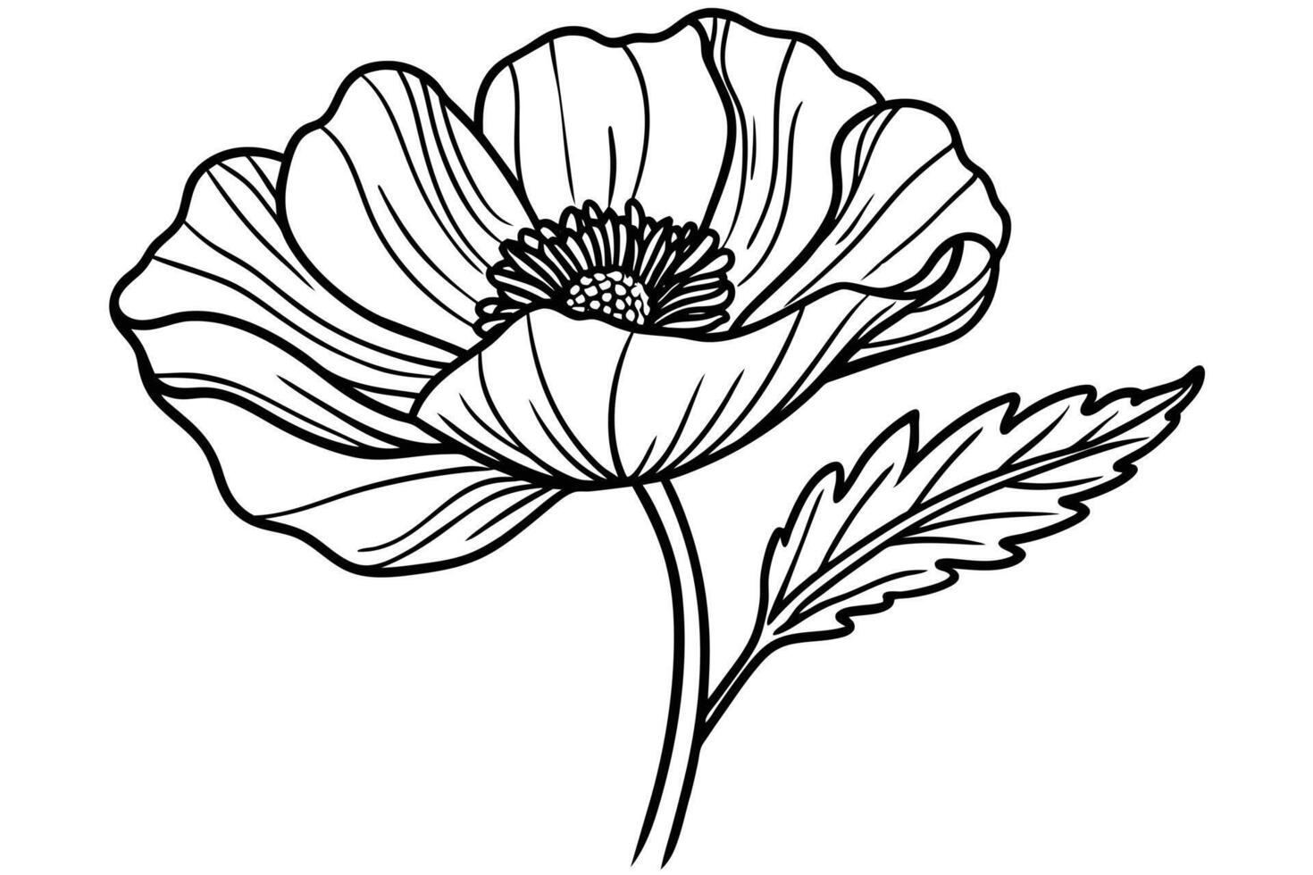 Flowers in continuous line art drawing style vector