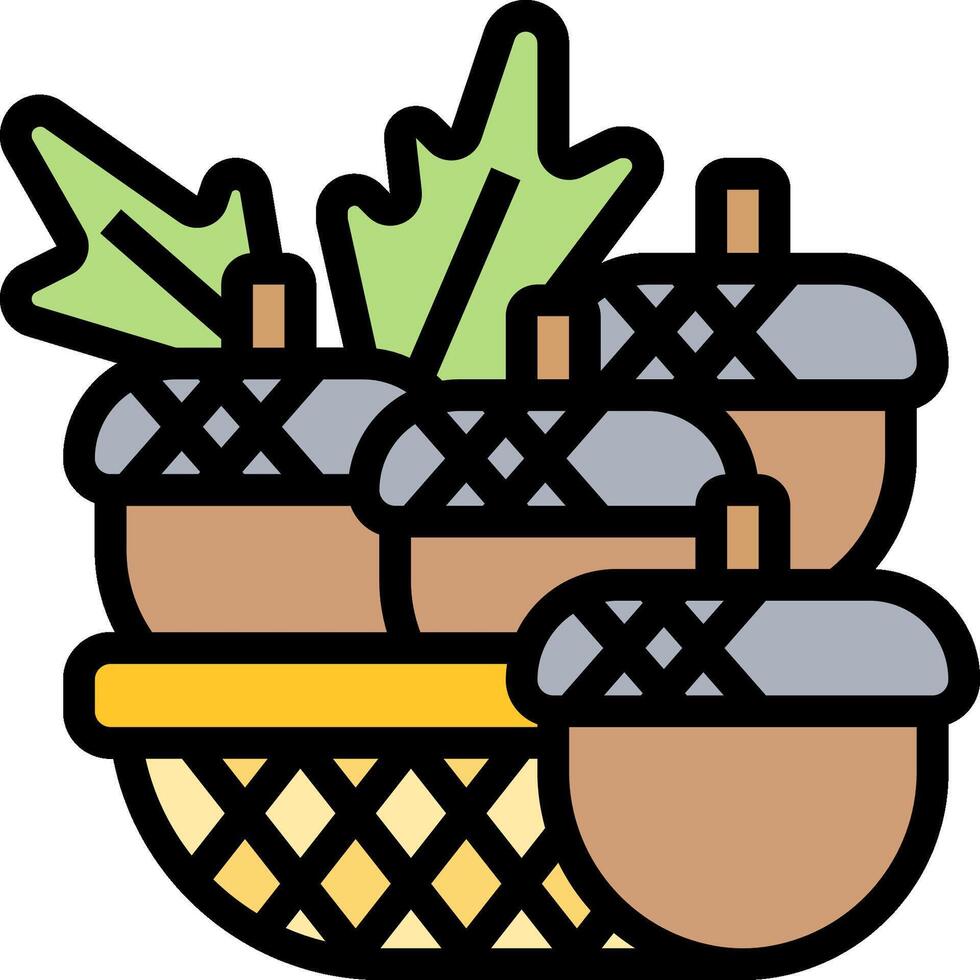 Acorns in basket with leaves vector