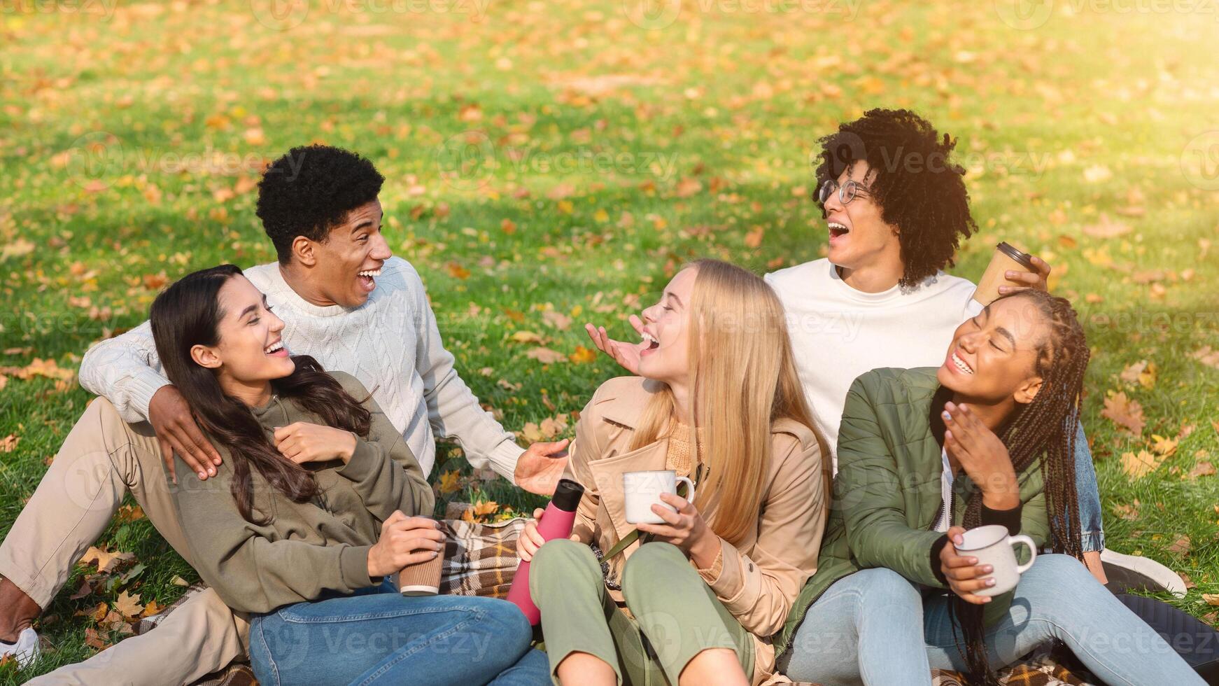 Carefree young multiracial group of friends having picnic in park photo