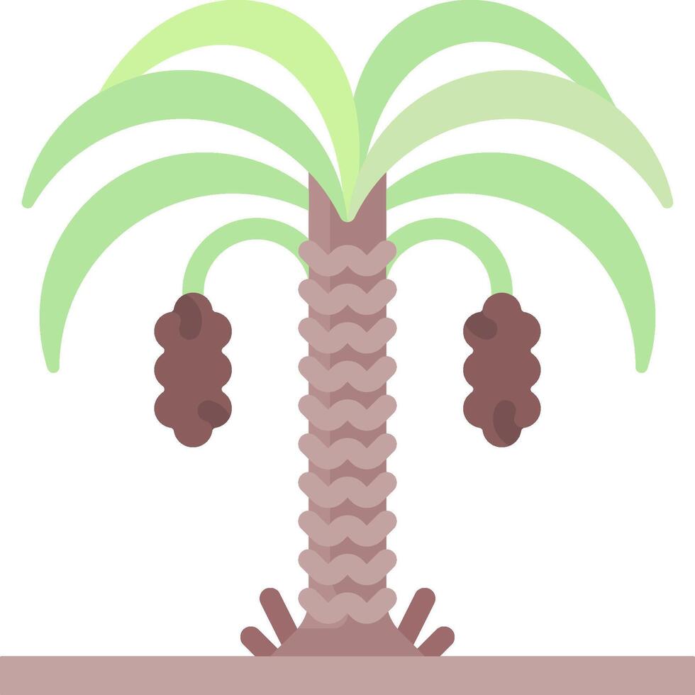 A palm tree with fruit on it vector
