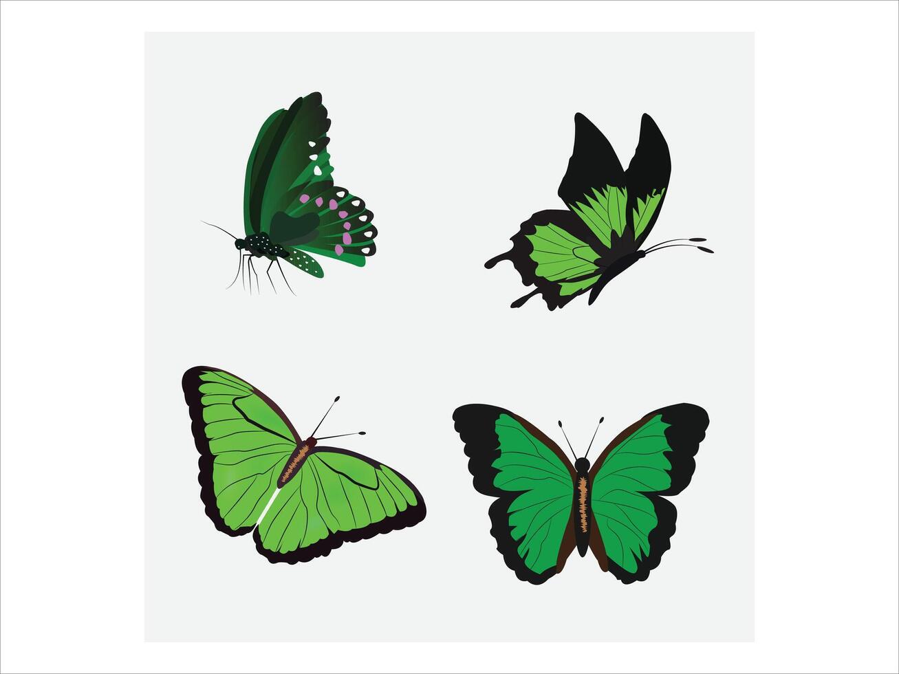 Green butterflies illustration vector
