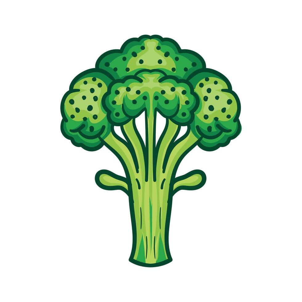 Broccoli green illustration design vector