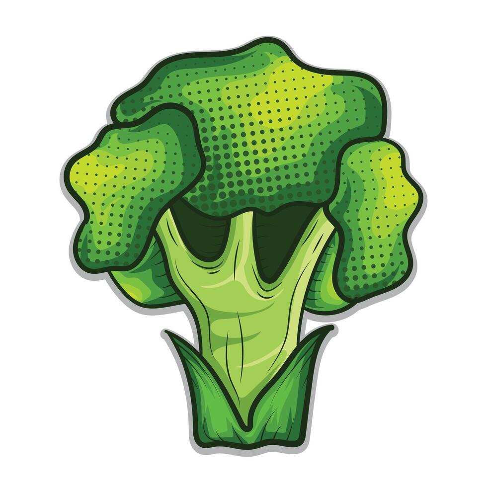 Broccoli green vegetable hand drawing illustration vector