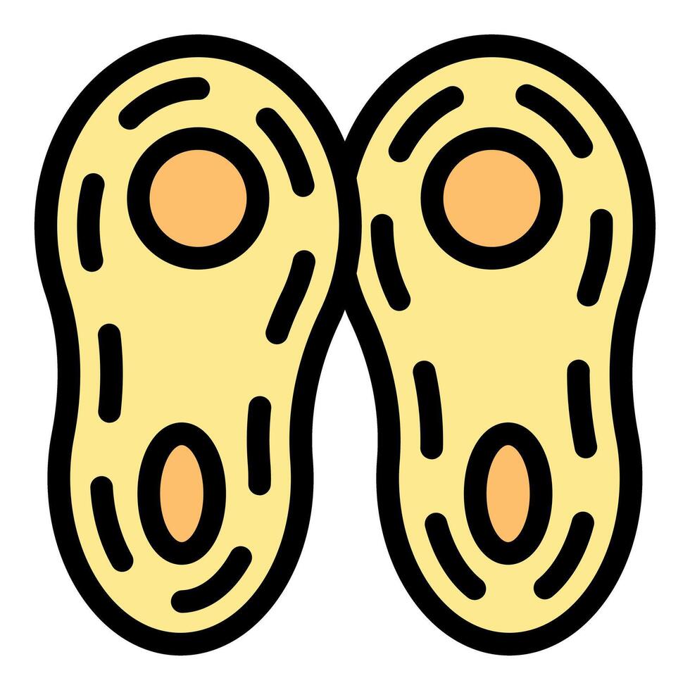 Cell division process showing two daughter cells icon vector