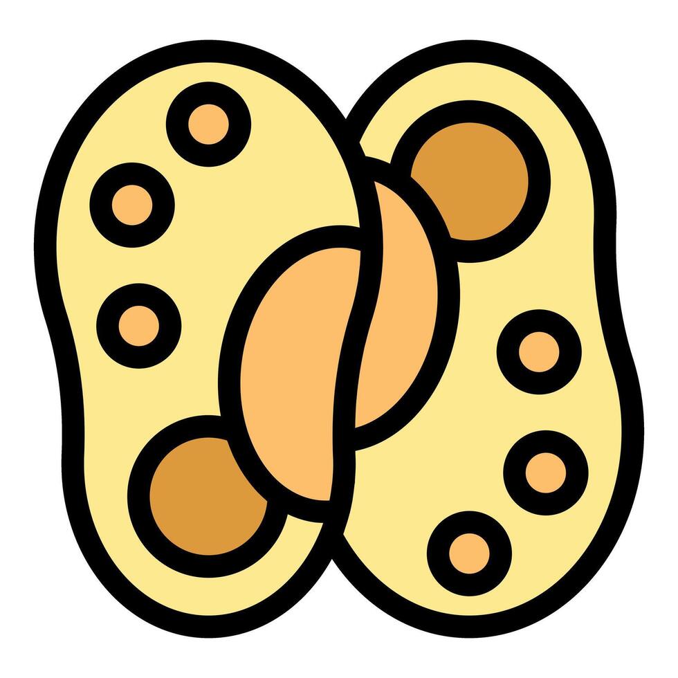 Yellow bean showing inside seeds icon representing seed dispersal vector