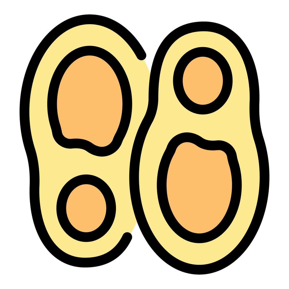 Zygote undergoing first cleavage stages of mitosis vector