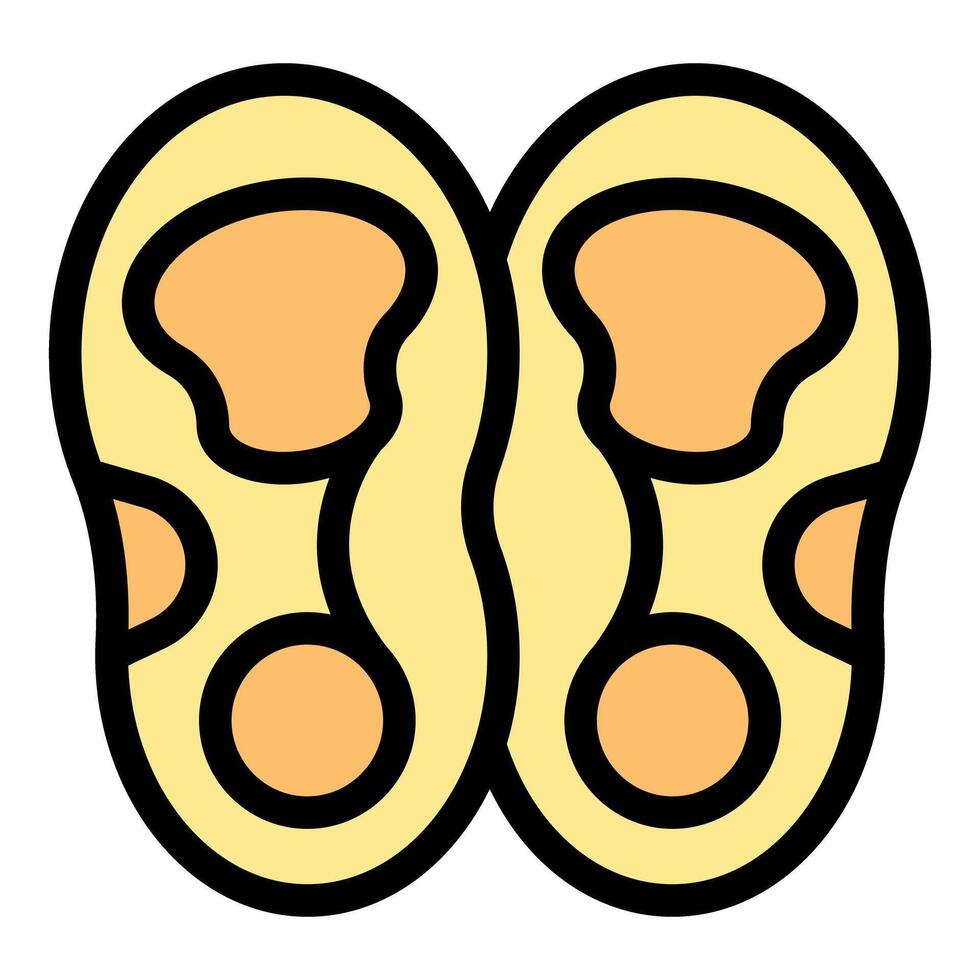 Pair of orthopedic insoles showing their shape and function vector