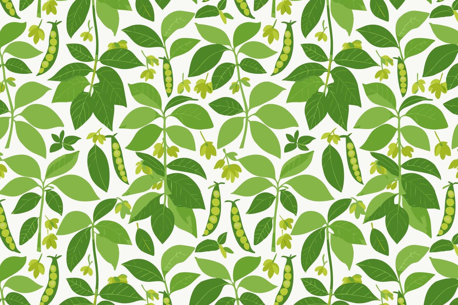 Pattern with green soybeans and pods. illustration. vector