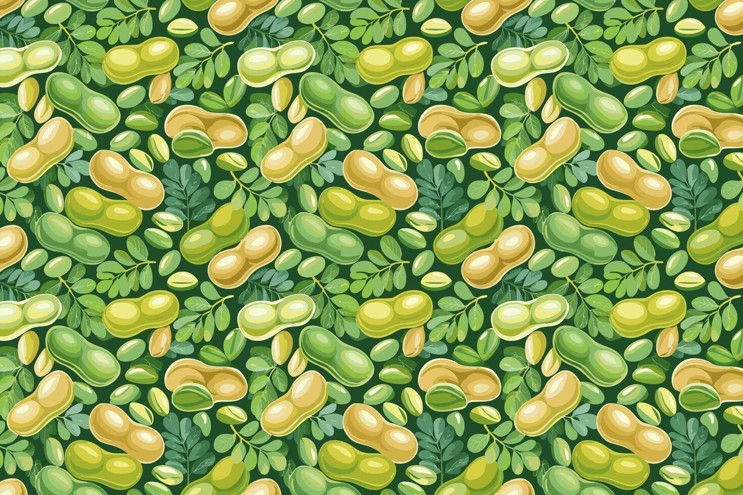 Pattern with Fava beans illustration of bean. vector