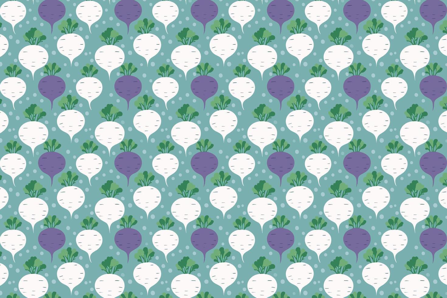 Radish pattern. Turnips vegetable beautiful background . vector