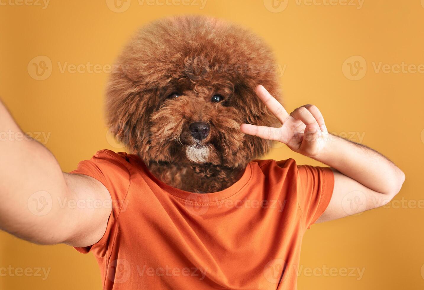 A lively dog with fluffy fur is playfully posing for a selfie while wearing an orange shirt. The cheerful atmosphere is enhanced by the vibrant yellow backdrop, creating a fun and lighthearted moment. photo