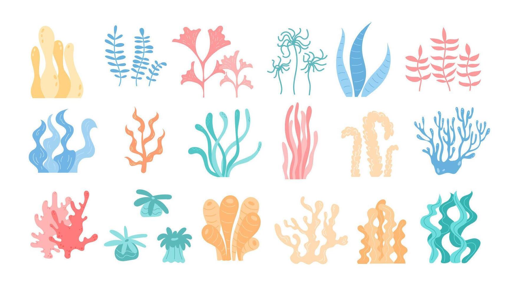 Balanced set of aquatic elements including different types of seaweed and coral. Depicts underwater marine life, ideal for ocean reef and marine life environment. vector