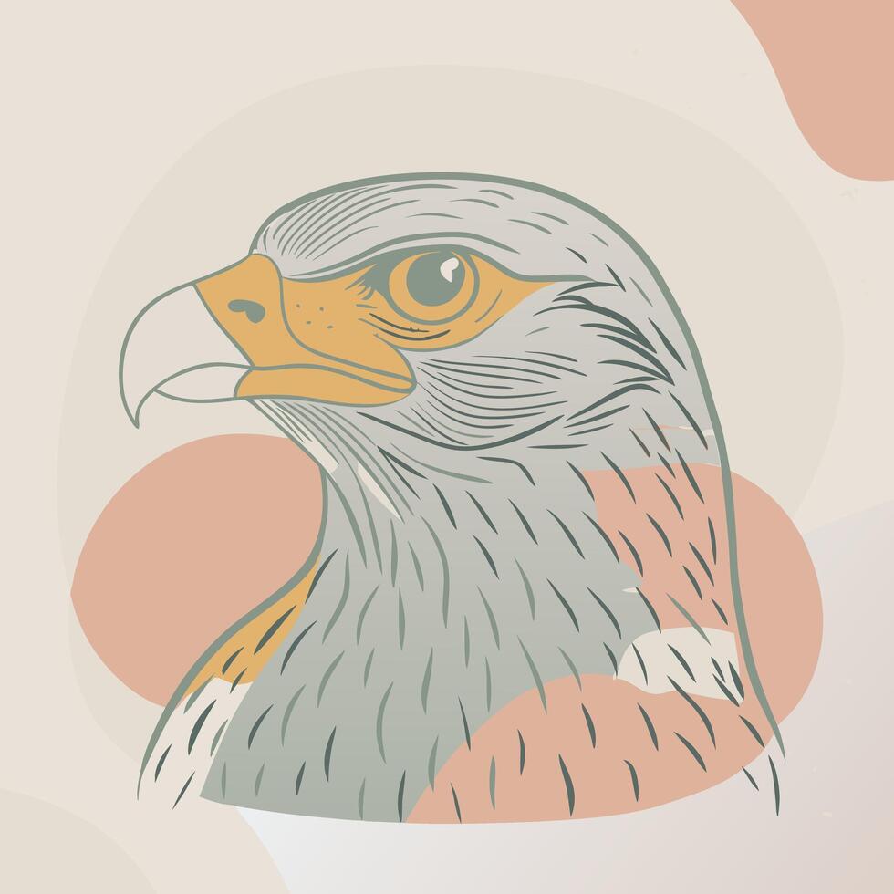 A drawing of an eagle with a beak vector