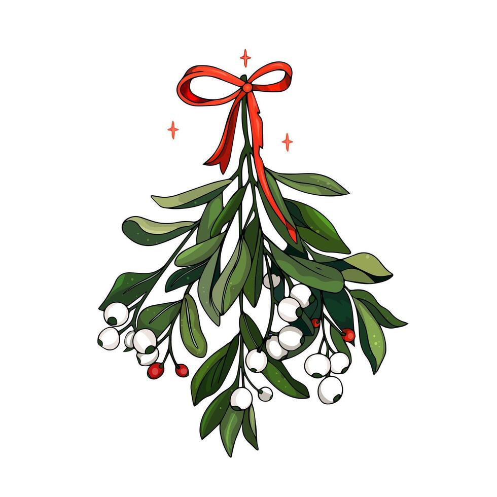 A mistletoe with berries and red ribbon vector