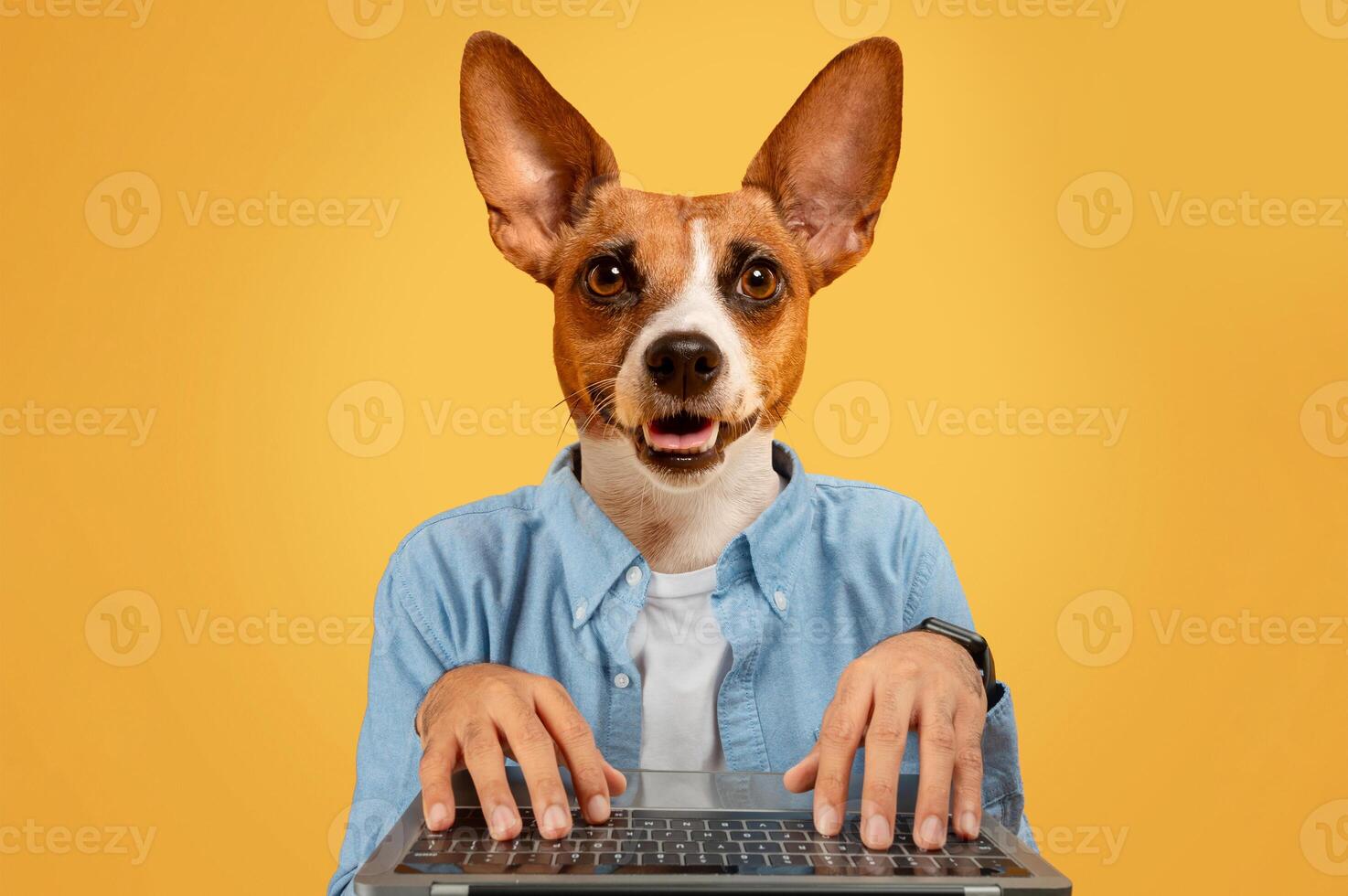 A dog with large ears is dressed in a blue shirt and is sitting at a desk using a laptop. The dog has a happy expression on its face and is looking directly at the viewer. The background is yellow. photo