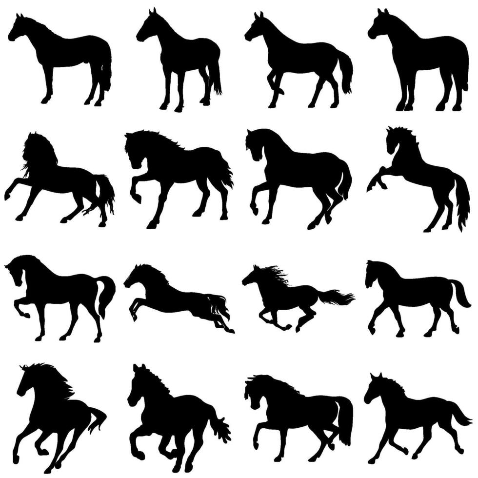 horse silhouette collection vector