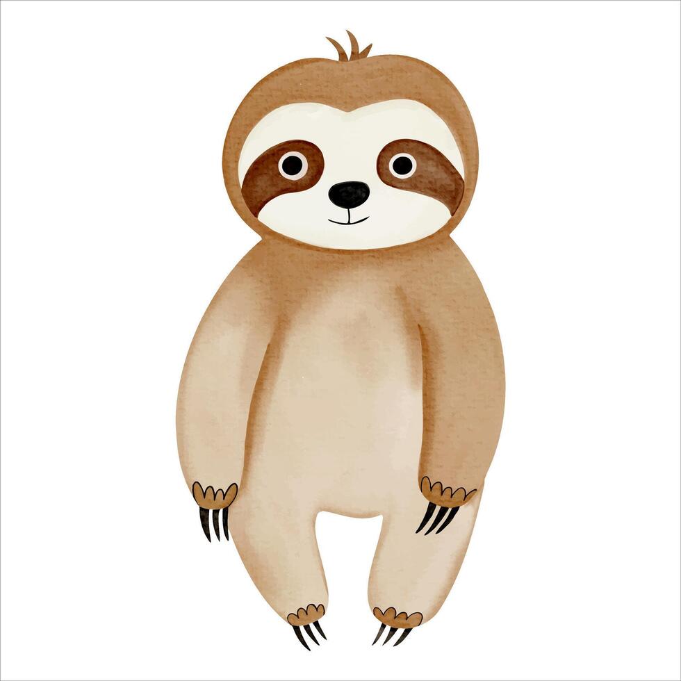 Cute watercolor sloth. Illustration of hand drawn sloth. Wild jungle safari animals. vector