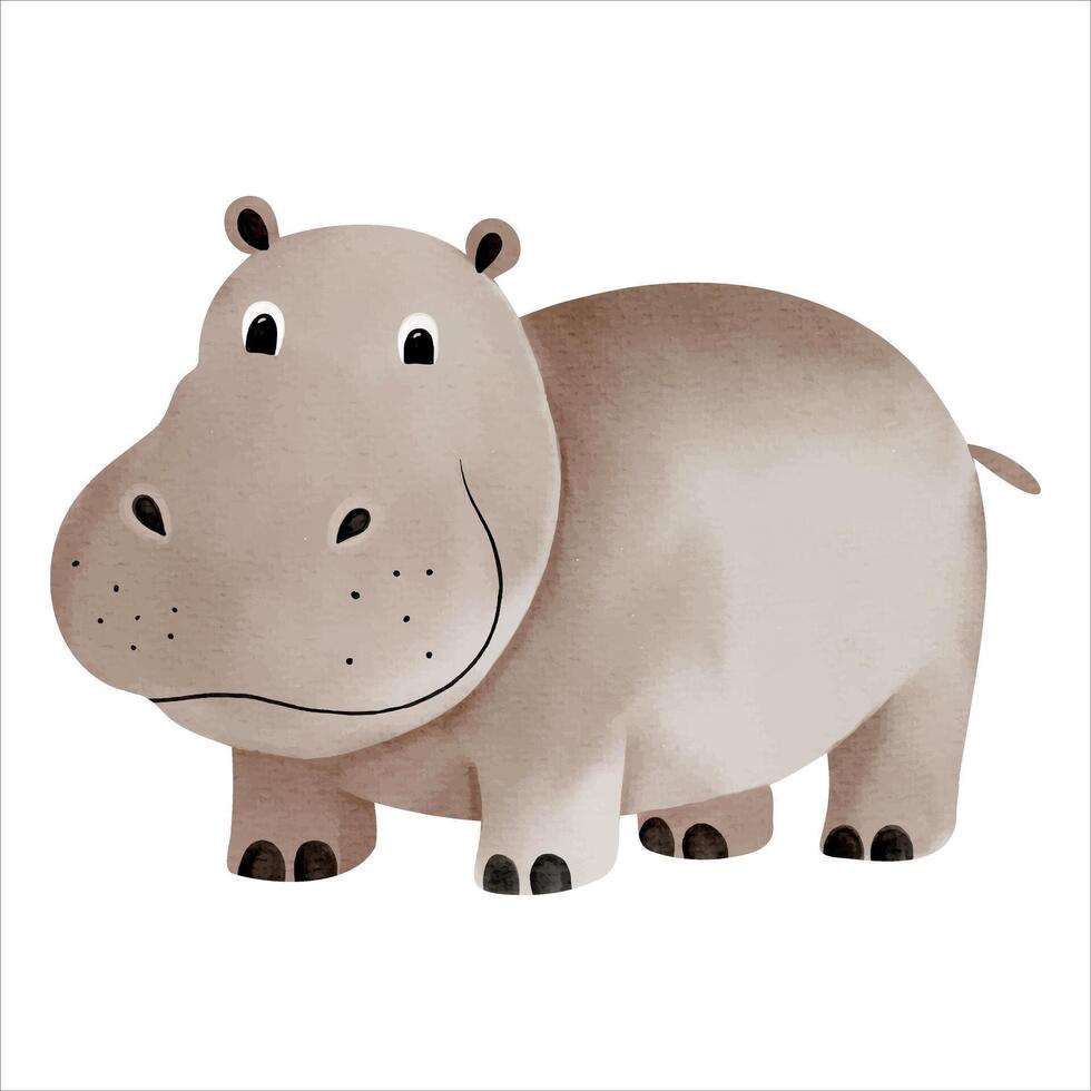 Cute watercolor hippopotamus. Illustration of hand drawn hippopotamus. Wild jungle safari animals. vector