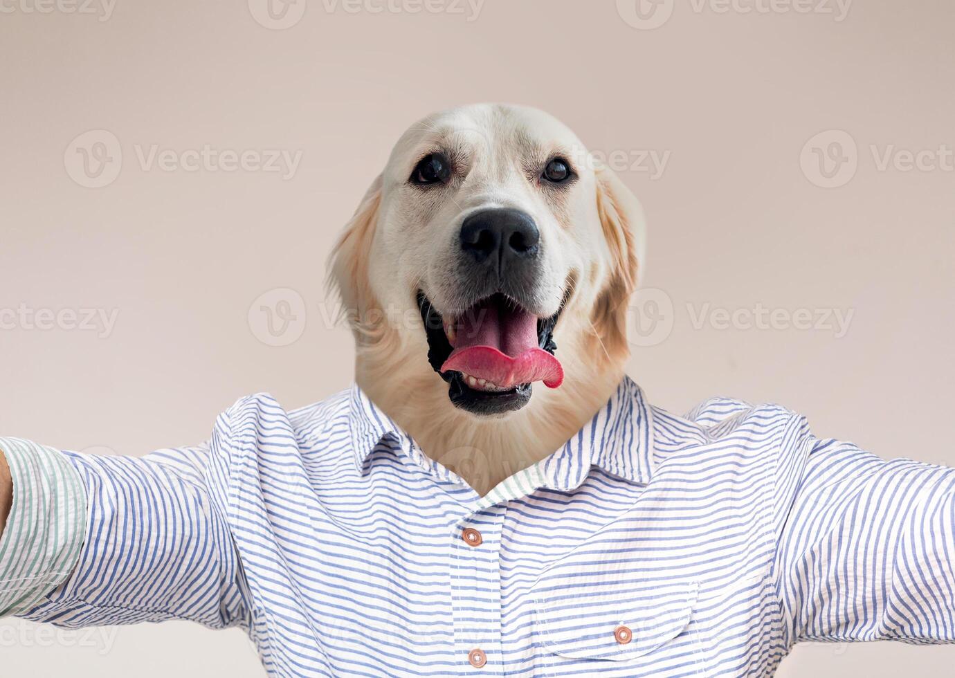 A joyful golden retriever is depicted with its head merged onto the body of a person wearing a striped shirt. With an inviting smile and tongue out, it looks as if the dog takes selfie photo