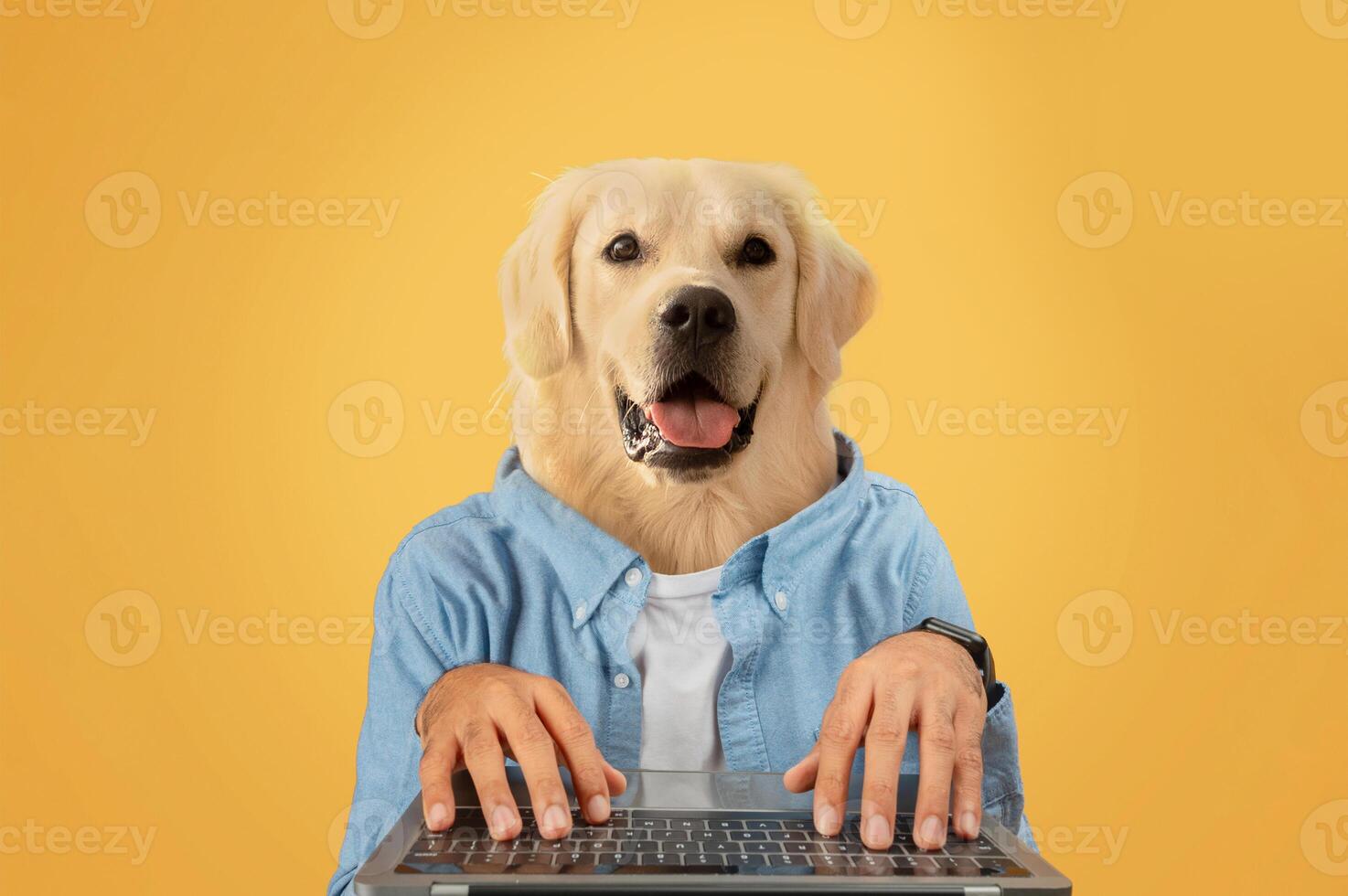 A cheerful golden retriever appears to be typing on a laptop while wearing a blue button-up shirt. The backdrop features a bright yellow color, enhancing the playful atmosphere photo
