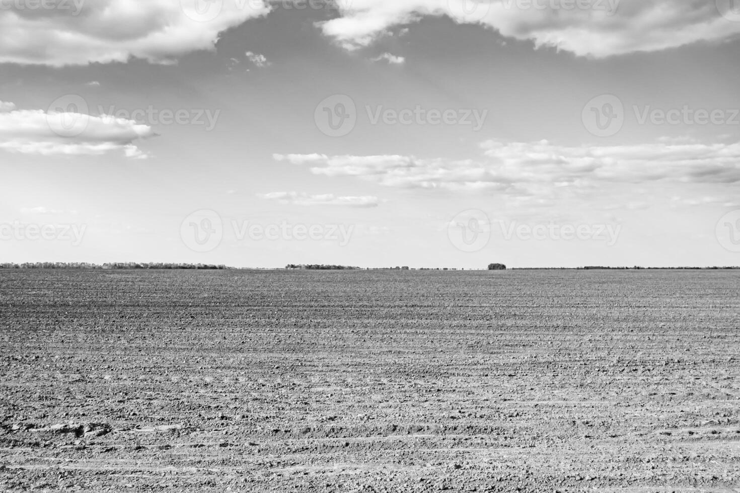 Photography on theme big empty farm field for organic harvest photo