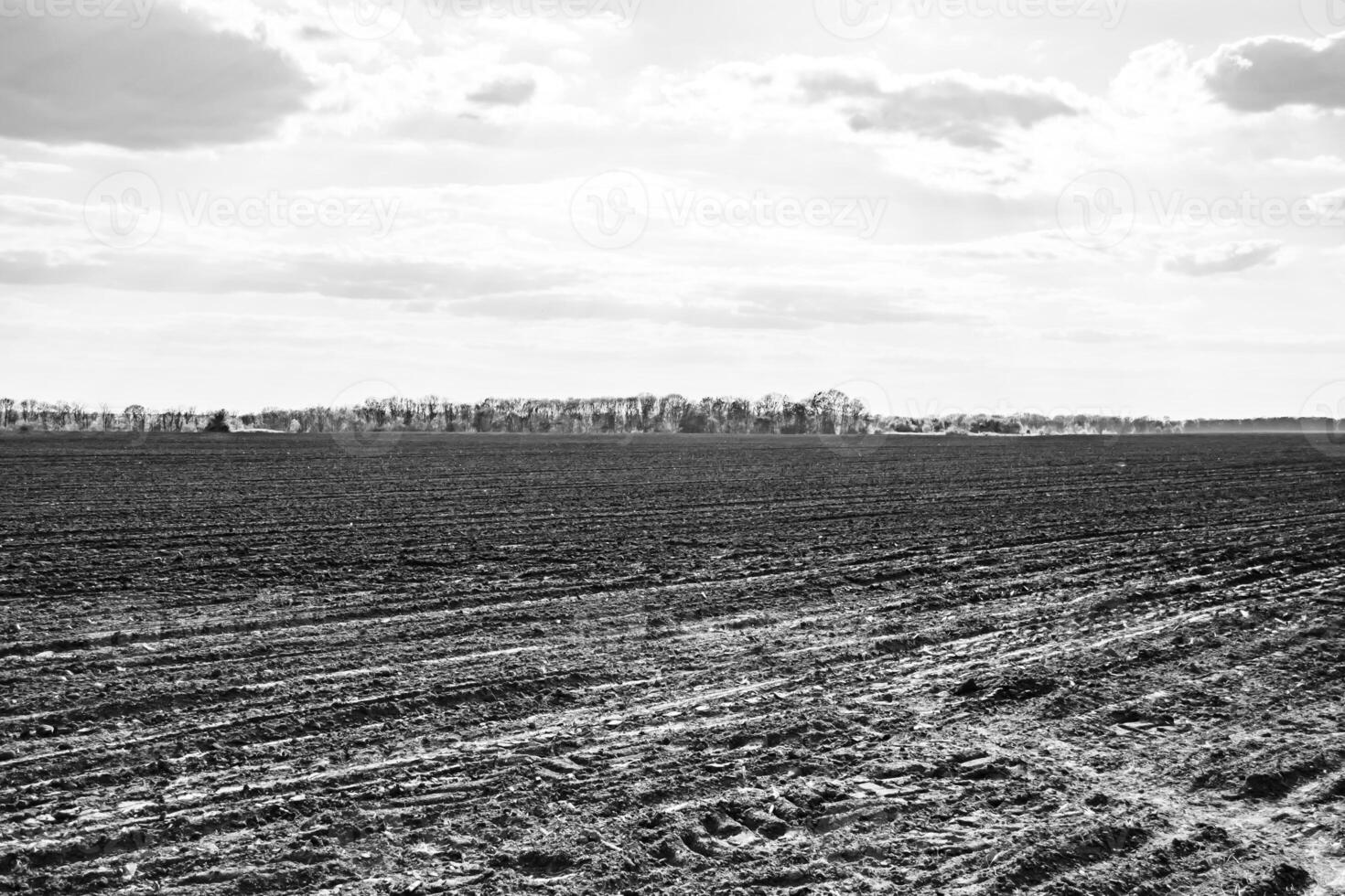 Photography on theme big empty farm field for organic harvest photo