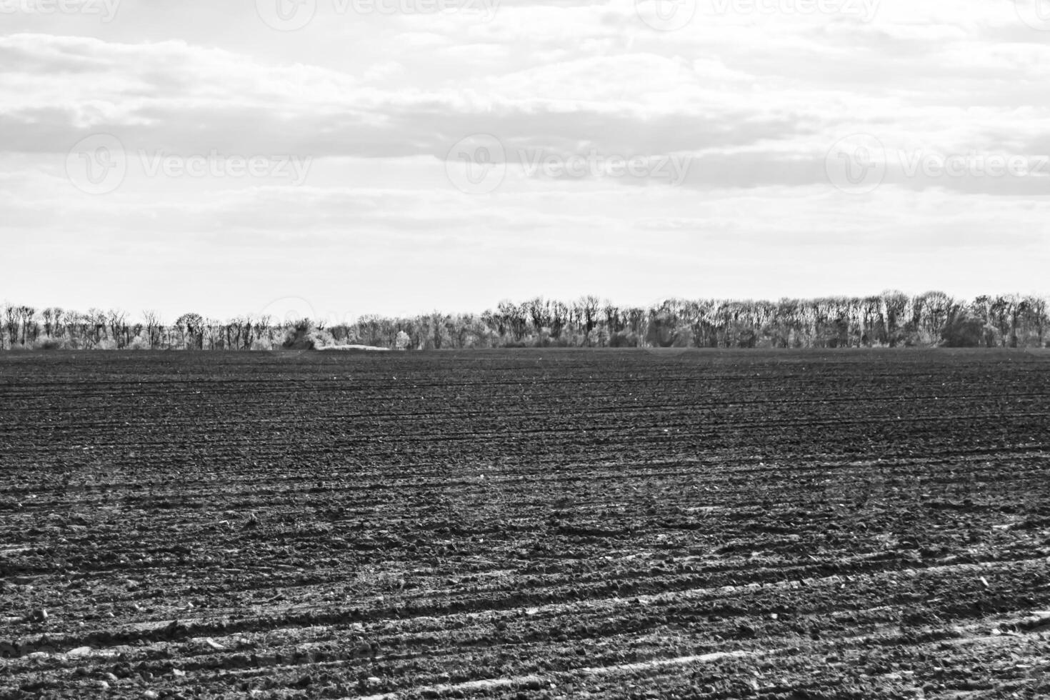 Photography on theme big empty farm field for organic harvest photo
