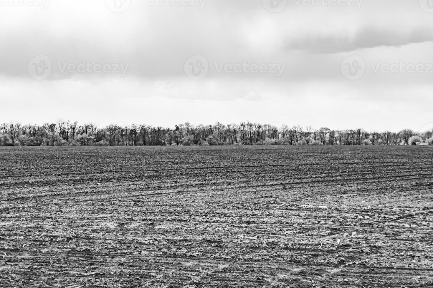 Photography on theme big empty farm field for organic harvest photo
