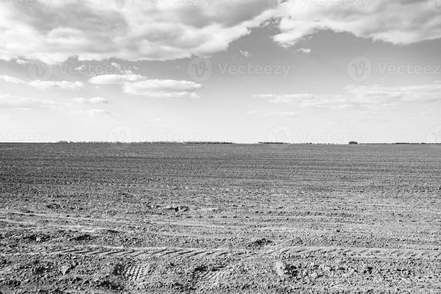 Photography on theme big empty farm field for organic harvest photo