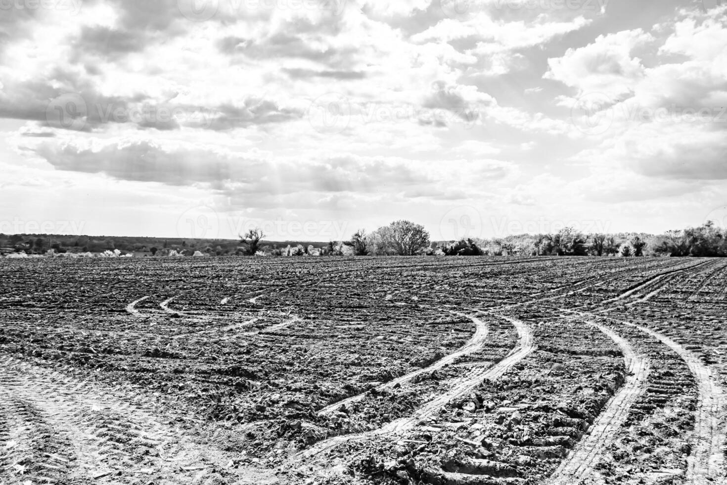 Photography on theme big empty farm field for organic harvest photo