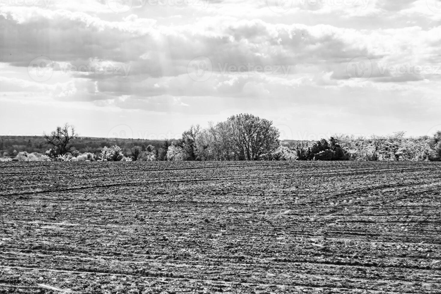 Photography on theme big empty farm field for organic harvest photo