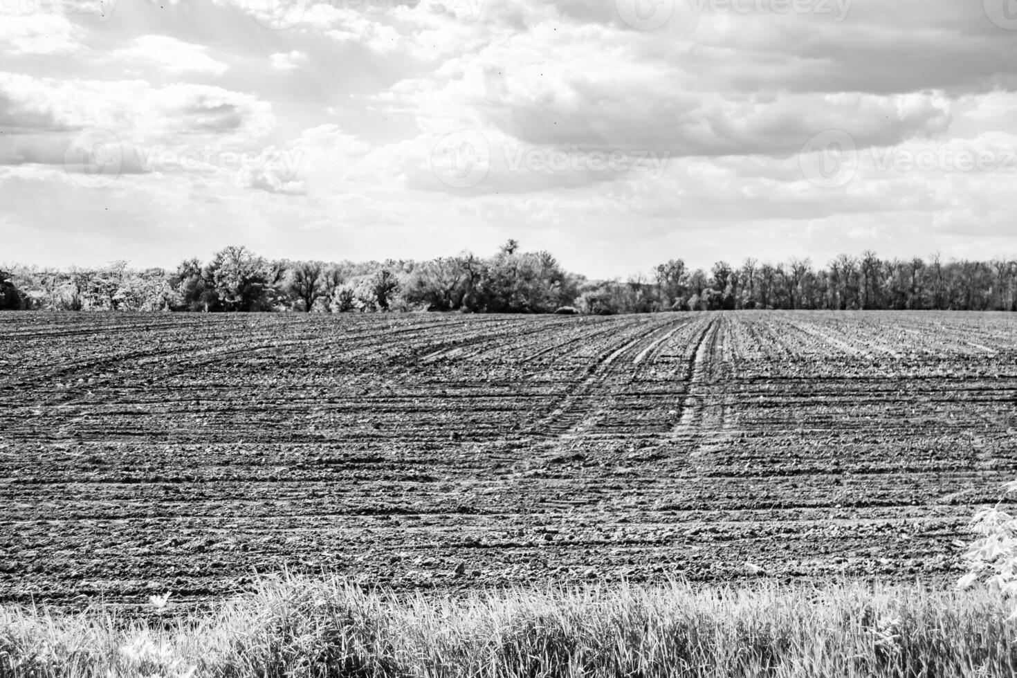 Photography on theme big empty farm field for organic harvest photo