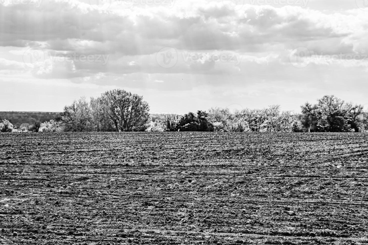 Photography on theme big empty farm field for organic harvest photo